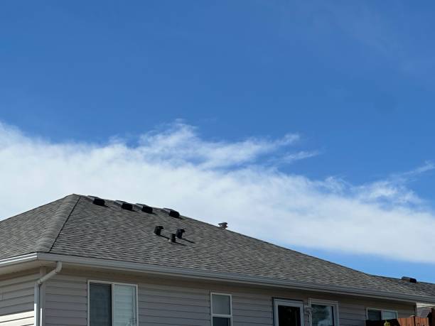 Best Asphalt Shingle Roofing  in Norwalk, OH